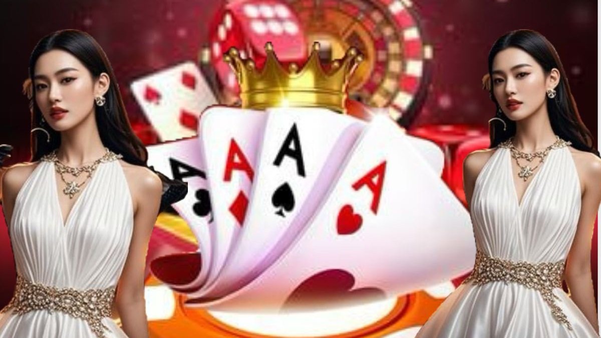 casinod