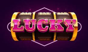 casinod